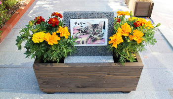 メモリアルガーデン